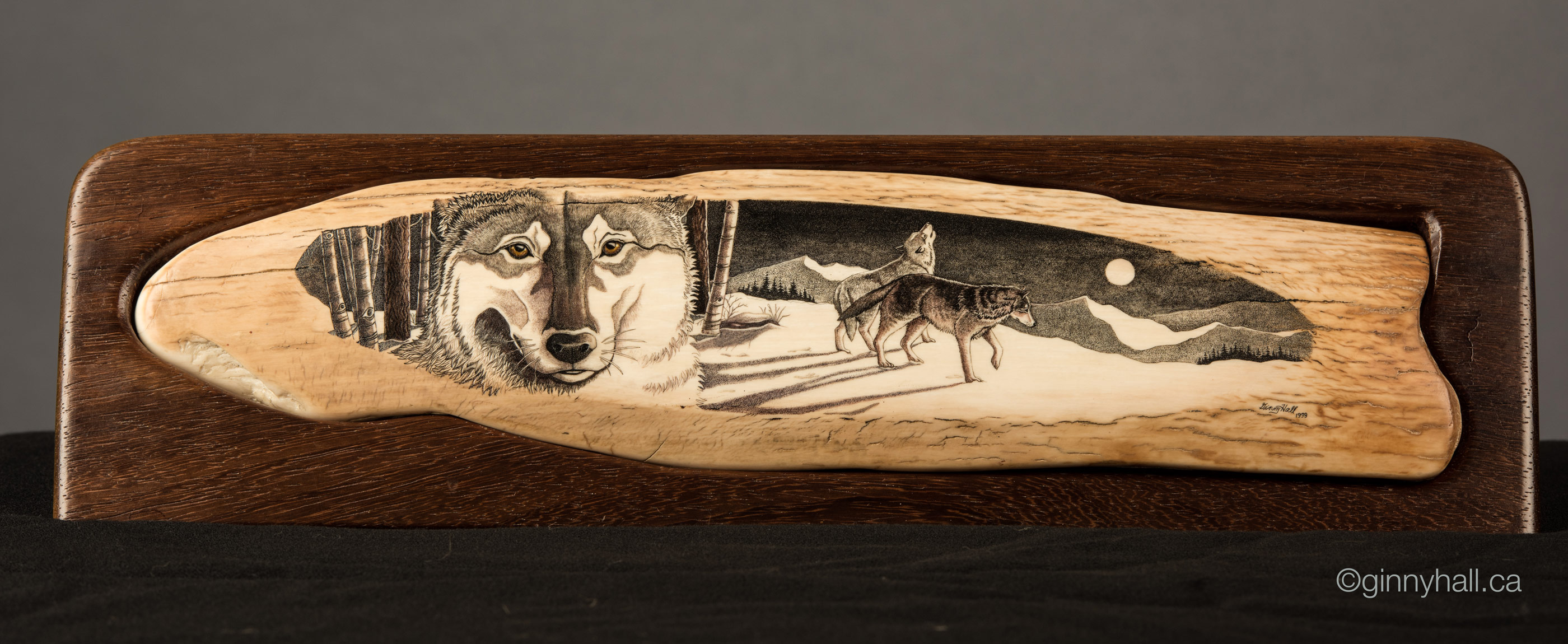 A scrimshaw peice by Ginny Hall depicting wolves in a snowy forest.