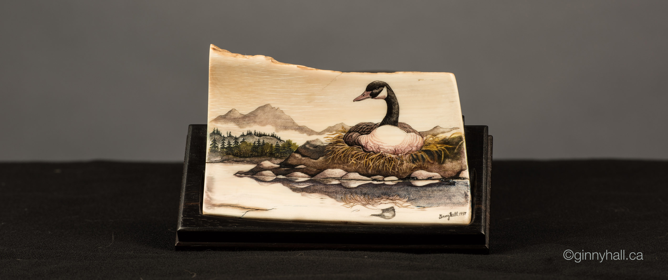 A scrimshaw peice by Ginny Hall depicting a goose in it's nest.
